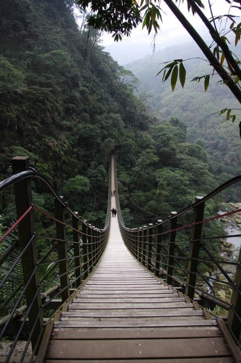 The image captures a long, narrow wooden suspension bridge stretching into a dense, misty forest valley, viewed from a low-angle perspective that emphasizes its length and depth. Two small figures are visible in the distance, walking along the bridge, adding scale and a sense of journey. The surrounding environment is lush with green foliage, bamboo stalks, and a misty atmosphere that softens the distant hills. The composition uses strong linear perspective, with the bridge’s railings converging toward the center, creating a powerful visual guide. The lighting is diffused natural daylight, suggesting an overcast or foggy morning, enhancing the tranquil and slightly mysterious mood of the scene.