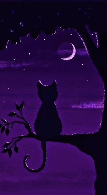 A solitary black cat is depicted as a silhouette, perched gracefully on a tree branch that extends from a larger tree trunk. The cat's form is fully enclosed, with no visible skin or clothing, and its posture is calm and contemplative, gazing toward a starry night sky. The background features a deep purple gradient sky with a crescent moon and scattered stars, creating a serene nocturnal atmosphere. The artwork employs soft, blended watercolor textures with subtle gradients, giving it a dreamy, painterly quality. The overall mood is tranquil and introspective, evoking a sense of quiet solitude and wonder under the moonlight.