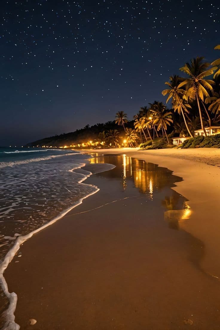 This image captures a tranquil nocturnal beach scene under a star-filled sky, with gentle ocean waves lapping at the shoreline. The wet sand reflects warm, golden streetlights from a coastal road lined with palm trees, creating a serene and inviting atmosphere. The composition balances the vastness of the night sky with the intimate scale of the beach, emphasizing stillness and natural beauty. The lighting is soft and diffused, with a clear front-facing illumination that enhances the textures of the sand, water, and foliage. The overall mood is peaceful and contemplative, evoking a sense of calm solitude and connection with nature.