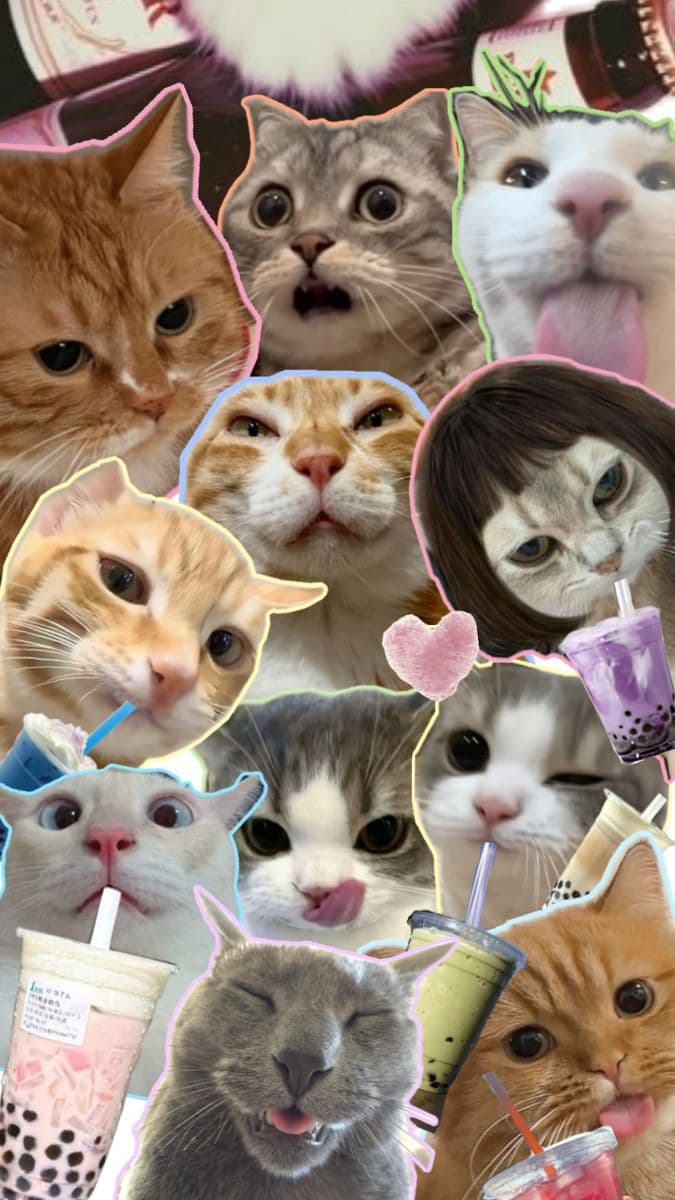This image is a vibrant collage composed of multiple cat faces with expressive, playful poses, each framed with colorful, glowing outlines. The cats are depicted in various amusing expressions—some sticking out their tongues, others sipping bubble tea or looking directly at the viewer with wide eyes. The background is filled with stylized bubble tea cups and soft pastel accents, enhancing the whimsical, lighthearted theme. The artwork employs a digital cutout style with sharp edges and saturated colors, creating a fun, energetic visual experience. The overall mood is cheerful and endearing, designed to evoke joy and amusement through the cats' exaggerated expressions and the playful context of drinking beverages.