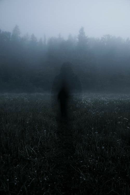 A solitary, indistinct figure stands in a misty, fog-covered meadow, their form blurred and obscured by atmospheric haze, creating an enigmatic and mysterious presence. The figure is cloaked in dark, heavy fabric that fully conceals their body, with no discernible features or limbs visible. Behind them, a line of dark evergreen trees fades into the fog, suggesting a remote, natural setting. The ground is covered in tall grass and scattered wildflowers, adding texture and depth to the scene. The image employs a desaturated, monochromatic color palette with soft gradients, enhancing the eerie, tranquil mood. The overall atmosphere is one of quiet solitude, suspense, and otherworldly calm, evoking a sense of isolation and mystery without any visual or thematic sexualization.
