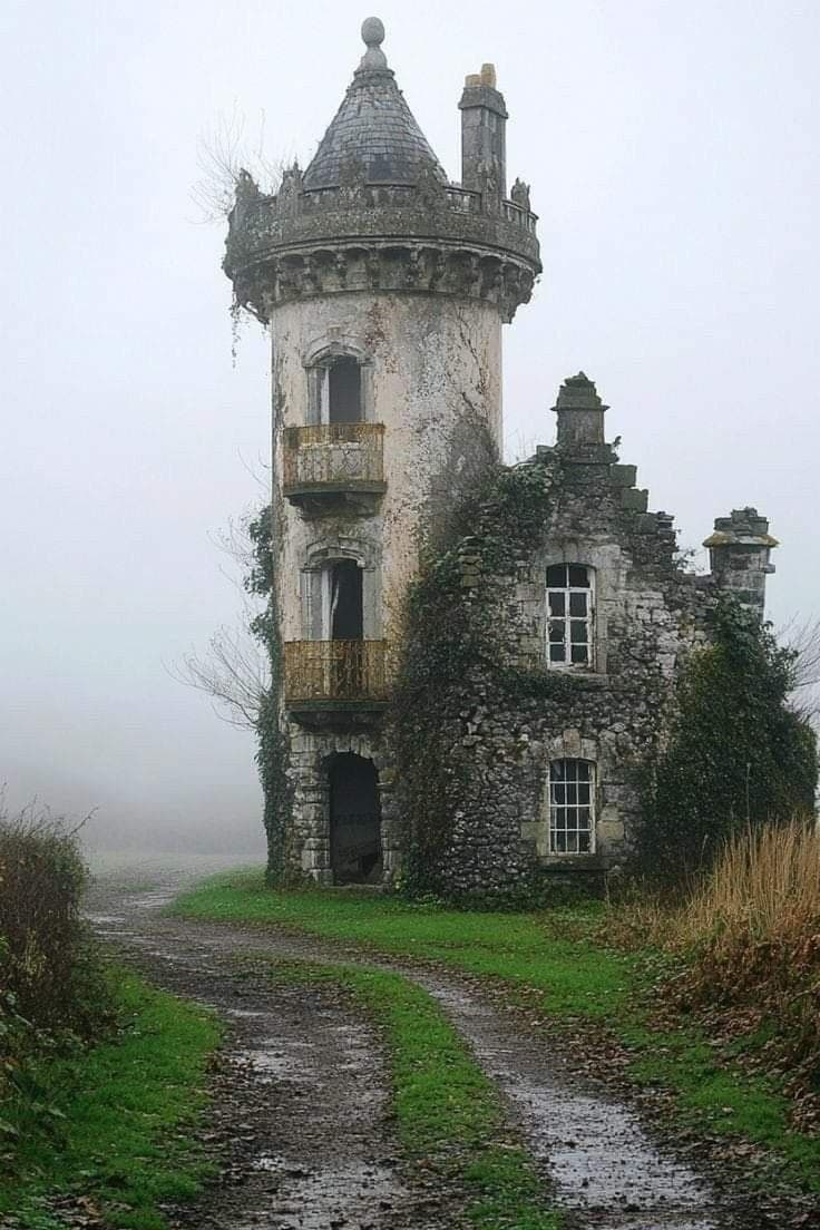 The image features a weathered, ivy-clad stone tower with a conical roof and ornate balconies, standing alone in a misty, overcast landscape. A muddy, winding dirt path leads toward the structure, flanked by grass and dry vegetation, suggesting abandonment or quiet decay. The architecture combines medieval and rustic elements, with visible moss and ivy growing over the stone, enhancing its aged and mysterious character. The scene is rendered with soft, diffused lighting, creating a melancholic and atmospheric mood. The foggy background and muted color palette contribute to a sense of isolation and timelessness, evoking themes of forgotten history and quiet solitude.
