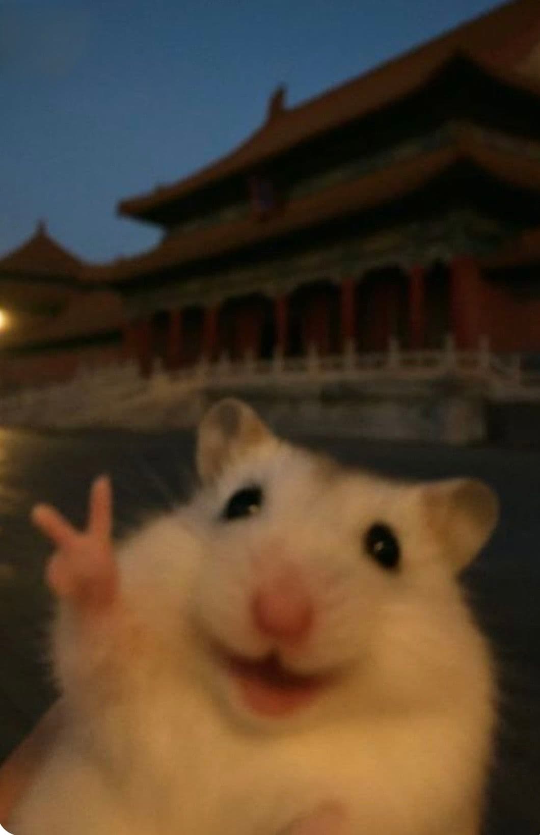 A close-up portrait of a fluffy white and light brown hamster with large, expressive black eyes and a pink nose, smiling cheerfully while making a peace sign with its front paw. The hamster is positioned in the foreground, sharply in focus, against a blurred background of traditional East Asian architecture under twilight. The lighting is soft and warm, suggesting late afternoon or early evening, with ambient illumination from a distant light source. The artistic style is a candid, slightly blurry photograph with natural depth of field, emphasizing the hamster’s endearing expression and playful gesture. The overall mood is lighthearted, joyful, and whimsical, evoking a sense of innocence and fun.