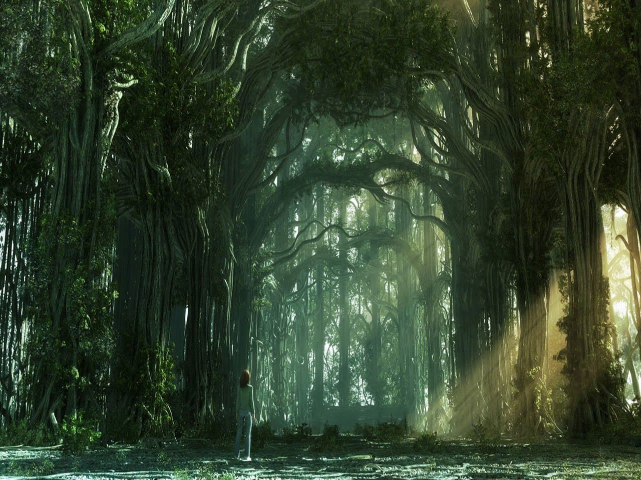 A lone female figure stands at the entrance of a colossal, cathedral-like forest composed of ancient, intertwined trees. She is viewed from behind, wearing a modest long-sleeved green shirt and full-length trousers, emphasizing the scale of the environment. The trees feature complex, vine-like trunks that arch overhead to create a natural tunnel, with sunlight filtering through the dense canopy in dramatic god rays. The artistic technique leans toward high-detail digital realism, utilizing intricate textures on the bark and foliage to create a sense of depth. The overall atmosphere is one of awe and tranquility, evoking a spiritual or mystical connection with nature. The lighting creates a soft, ethereal glow that illuminates the forest floor while leaving the deeper recesses in mysterious shadow.
